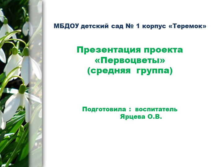 Презентация "Проект "Первоцветы в средней группе"(для дошкольников) - Скачать школьные презентации PowerPoint бесплатно | Портал бесплатных презентаций school-present.com
