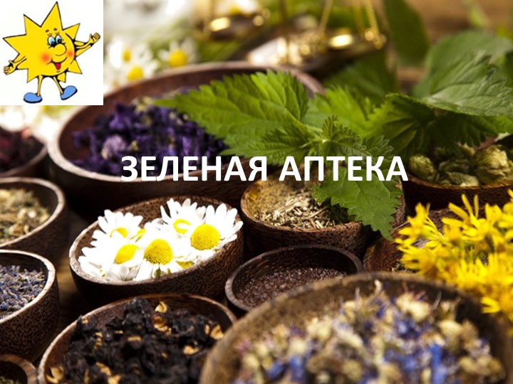 Презентация по окружающему миру на тему "Зелёная аптека" - Скачать школьные презентации PowerPoint бесплатно | Портал бесплатных презентаций school-present.com
