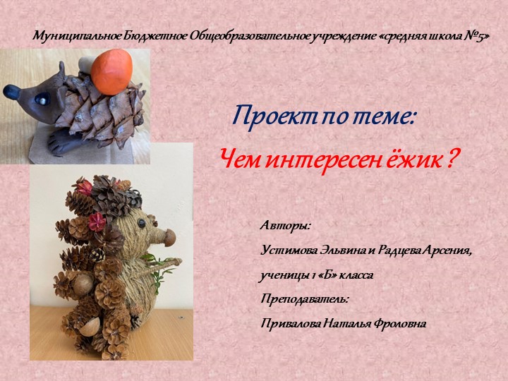 Проект "Чем интересен ёжик" - Скачать школьные презентации PowerPoint бесплатно | Портал бесплатных презентаций school-present.com