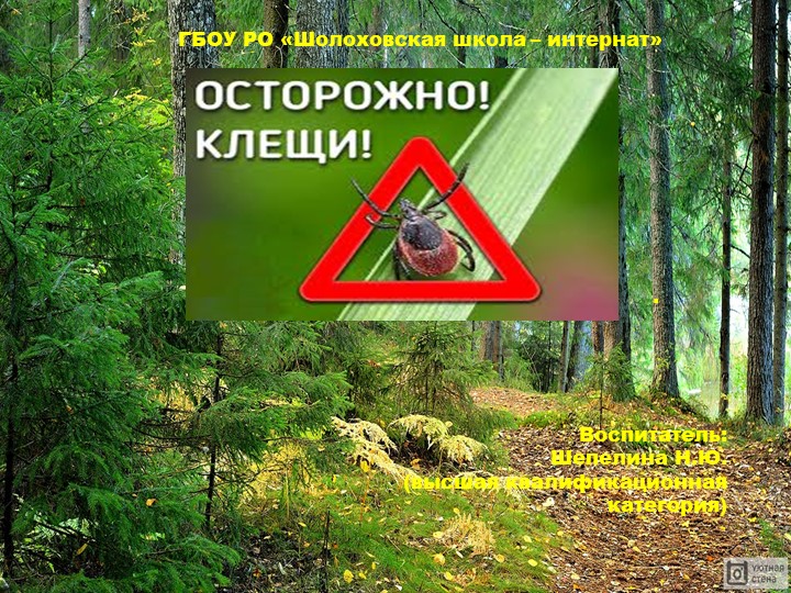 Презентация "Осторожно! Клещи!" (2 класс) - Скачать школьные презентации PowerPoint бесплатно | Портал бесплатных презентаций school-present.com