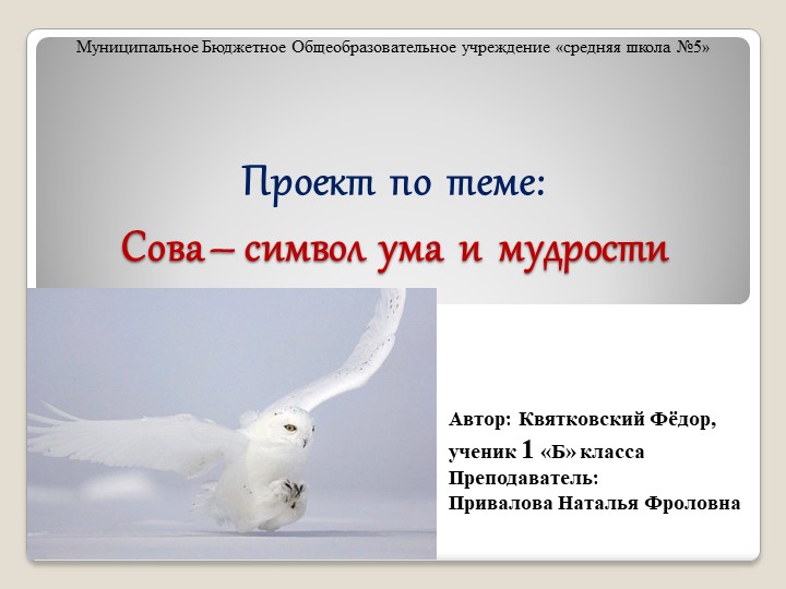 Презентация проекта "Сова - символ ума и мудрости" - Скачать школьные презентации PowerPoint бесплатно | Портал бесплатных презентаций school-present.com