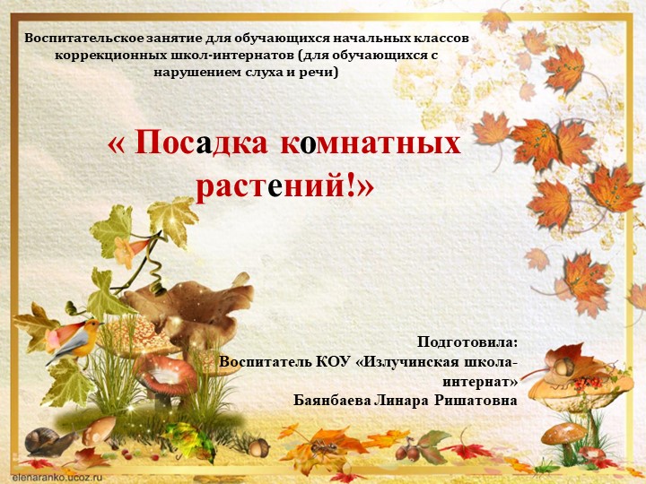 Презентация на тема: " Посадка комнатных растений" - Скачать школьные презентации PowerPoint бесплатно | Портал бесплатных презентаций school-present.com