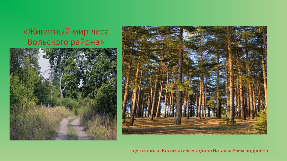 Презентация для дошкольников «Животный мир Вольского района» - Скачать школьные презентации PowerPoint бесплатно | Портал бесплатных презентаций school-present.com