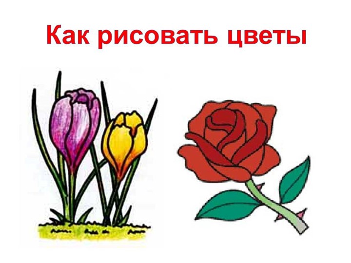 Презентация "Как рисовать цветы " 2класс - Скачать школьные презентации PowerPoint бесплатно | Портал бесплатных презентаций school-present.com