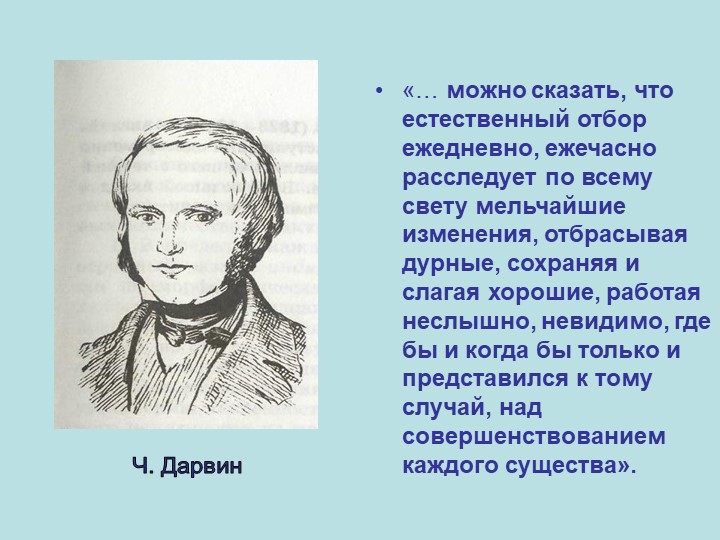 Презентация по биологии на тему "Приспособленность организмов" (11 класс) - Скачать школьные презентации PowerPoint бесплатно | Портал бесплатных презентаций school-present.com