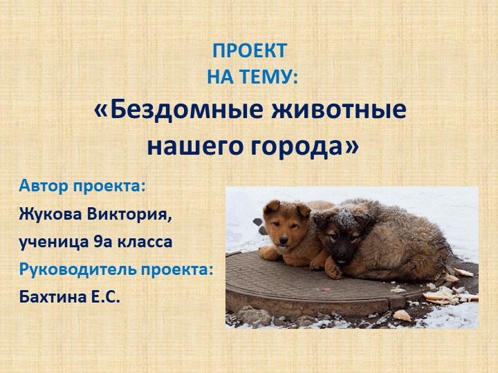 Презентация на тему: "Бездомные животные г.Саратова" - Скачать школьные презентации PowerPoint бесплатно | Портал бесплатных презентаций school-present.com