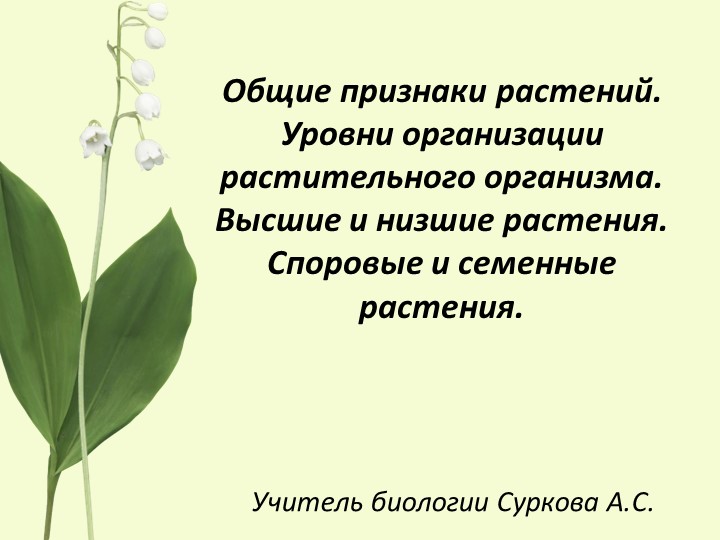 Общие признаки растений. Уровни организации растительного организма.6 класс - Скачать школьные презентации PowerPoint бесплатно | Портал бесплатных презентаций school-present.com