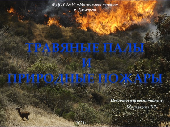 Презентация "Травяные палы и природные пожары" - Скачать школьные презентации PowerPoint бесплатно | Портал бесплатных презентаций school-present.com