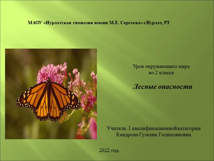 Презентация по окружающему миру "Лесные опасности"(2 класс) - Скачать школьные презентации PowerPoint бесплатно | Портал бесплатных презентаций school-present.com