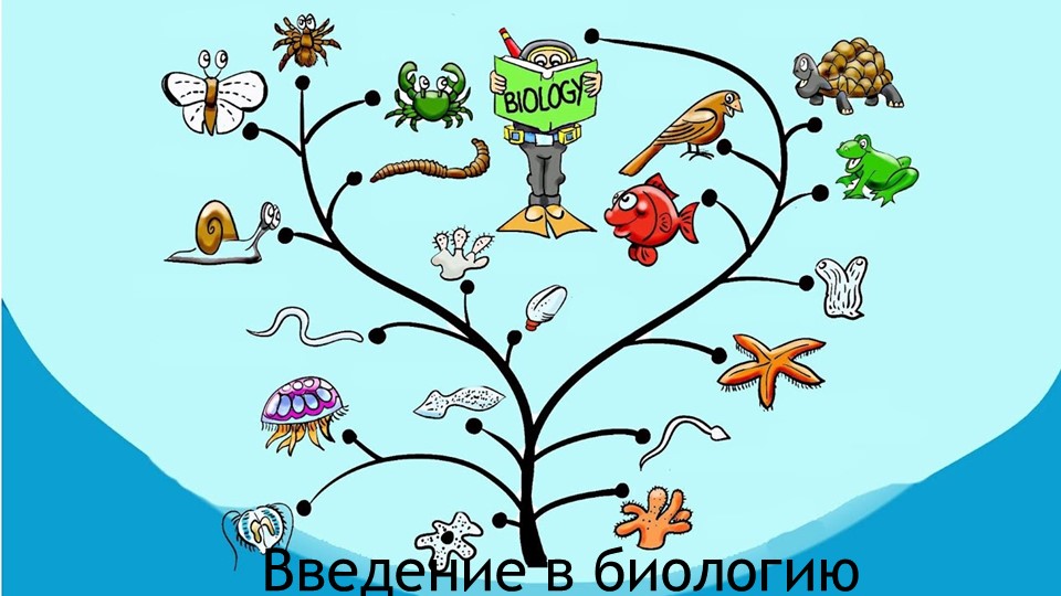 Введение в биологию, свойства живого - Скачать школьные презентации PowerPoint бесплатно | Портал бесплатных презентаций school-present.com