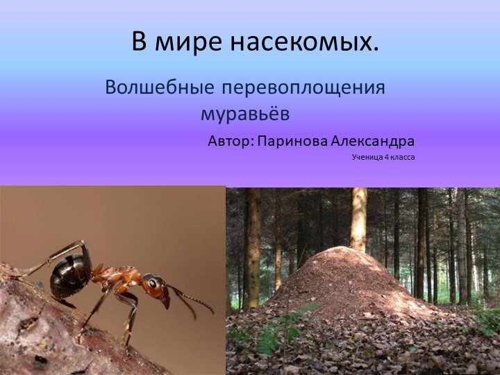 Презентация по окружающему миру "Волшебные перевоплощения муравьев" - Скачать школьные презентации PowerPoint бесплатно | Портал бесплатных презентаций school-present.com