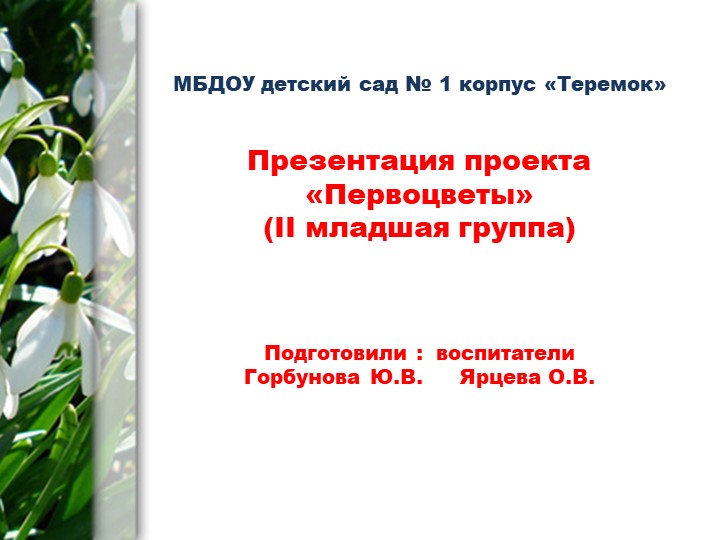 Презентация на тему: "Проект "Первоцветы" (дошкольники) - Скачать школьные презентации PowerPoint бесплатно | Портал бесплатных презентаций school-present.com