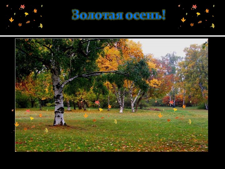 Презентация на тему"Золотая осень" - Скачать школьные презентации PowerPoint бесплатно | Портал бесплатных презентаций school-present.com
