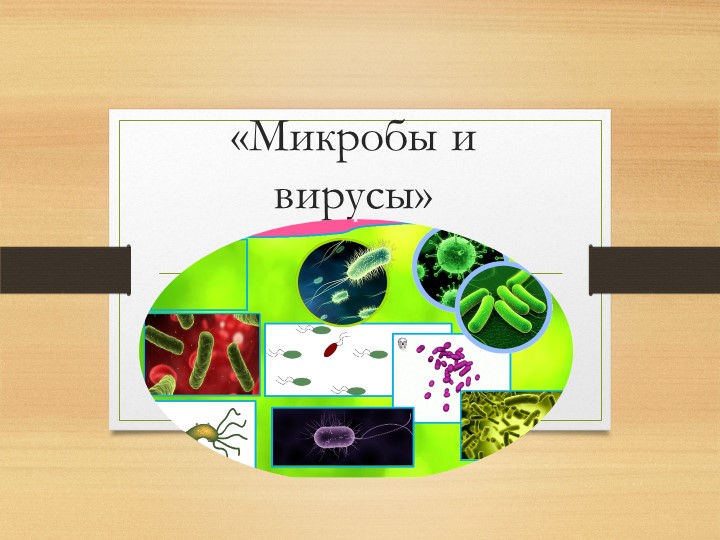 Презентация к занятию "Микробы и вирусы" - Скачать школьные презентации PowerPoint бесплатно | Портал бесплатных презентаций school-present.com