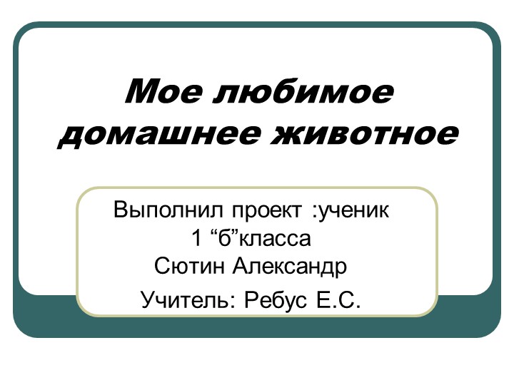 Презентация "Моё любимое домашнее животное"1 класс - Скачать школьные презентации PowerPoint бесплатно | Портал бесплатных презентаций school-present.com
