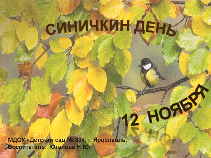 Окружающий мир "Синичкин день" - Скачать школьные презентации PowerPoint бесплатно | Портал бесплатных презентаций school-present.com